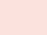 Savage #03 Coral, 107" x 12 yds Seamless Background
