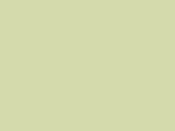 Savage #23 Sea Green, 107" x 12 yds Seamless Background