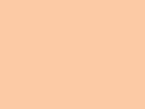 Savage #55 Autumn, 107" x 12 yds Seamless Background