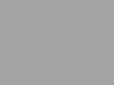 Savage #70 Storm Gray, 107 in x 150 ft Seamless Background Savage #70 Storm Gray, 107 in x 150 ft Seamless Background