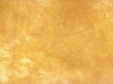 Savage Infinity Canvas Background - Golden Sands