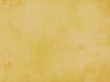 Savage Infinity Muslin Background - Pisa