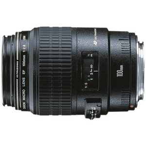 Canon EF 100mm f/2.8 35mm macro lens