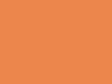 Savage #24 Orange, 107" x 12 yds Seamless Background