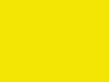 Savage #71 Deep Yellow, 107" x 12 yds Seamless Background